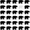 Bears