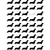 teckel