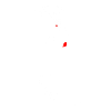 Geisha