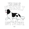 lansufriendly2