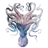 SPACE SQUID