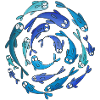 Poissons bleus