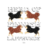 HERDoflapphunds