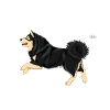 lapphunddiamond