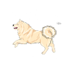 lapphunddiamond3