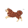 lapphunddiamond4