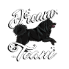 slkdreamteam3