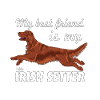 irishbestfriend2
