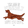 irishfriendly