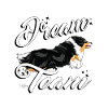 sheltiedreamteam2