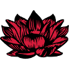 Lotusblume