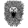 wild lion
