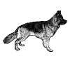Schutzengel Schäferhund W