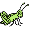 Grasshopper