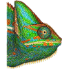 caméléon