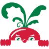 Radish