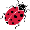 The ladybug