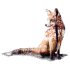 Fuchs