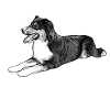 Schutzengel Aussie RWSW