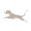 whippetdiamonds2
