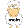 Schaaf Moin