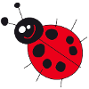 Marienkäfer