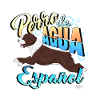 perrodeaguaespanol4