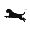 perrodiamonds10