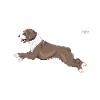perrodiamonds3