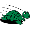 Schildkröte lauf!