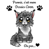 Maine Coon - Black Silver