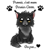 Maine Coon - Black Smoke