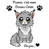 Maine Coon - White