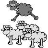 jumping sheep