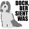 Bearded Collie