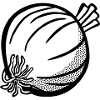 Onion