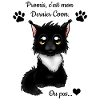 Maine Coon - Black & White