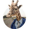Giraffe im Anzug