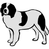 Landseer