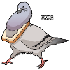 Swag Taube