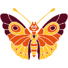 Butterfly (d)