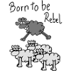 jumping sheep