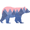 mountain bear