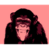 AFFE