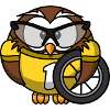 Motorcross Vogel