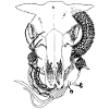 Animal-Skull