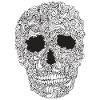 Ornate-Skull