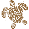 Hawaii Turtle