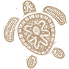 Hawaii Turtle