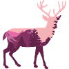 Hirsch Nature